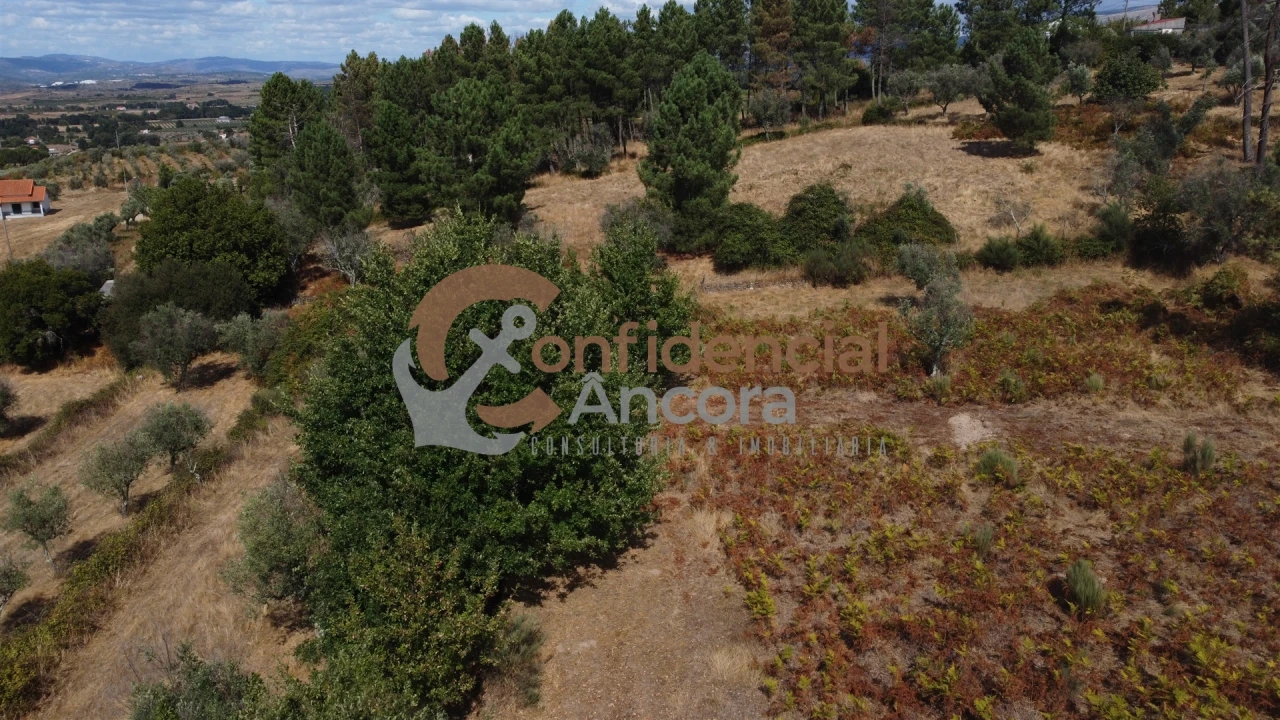 Quinta T0 para Venda em São Paio Foto 54