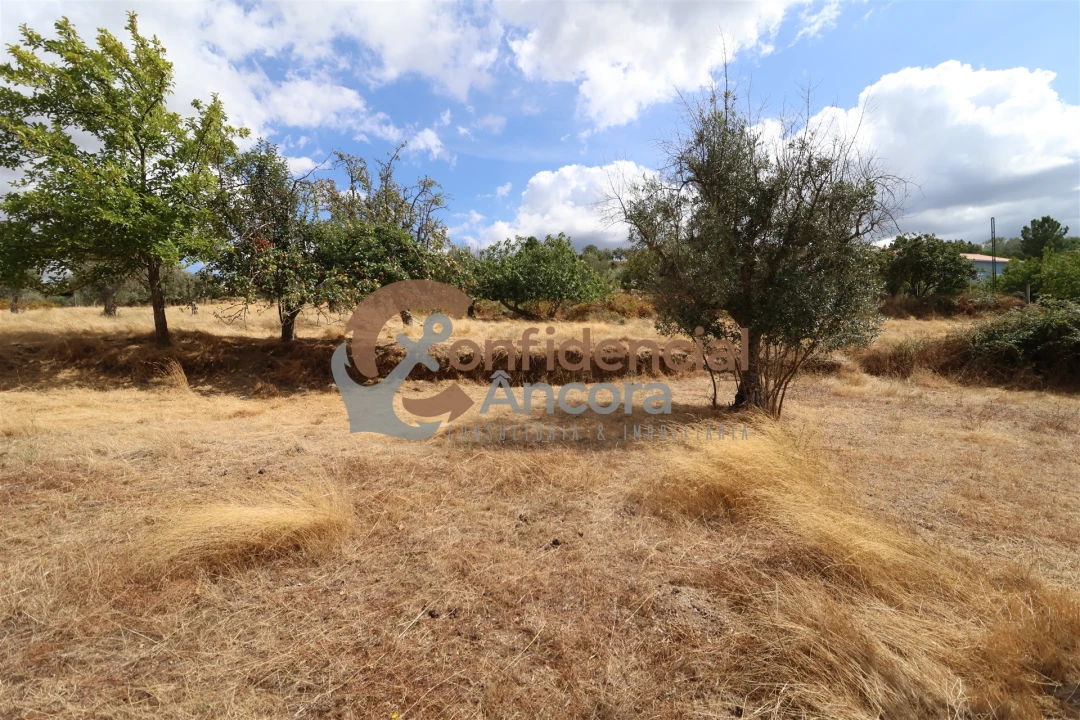 Quinta T0 para Venda em São Paio Foto 14