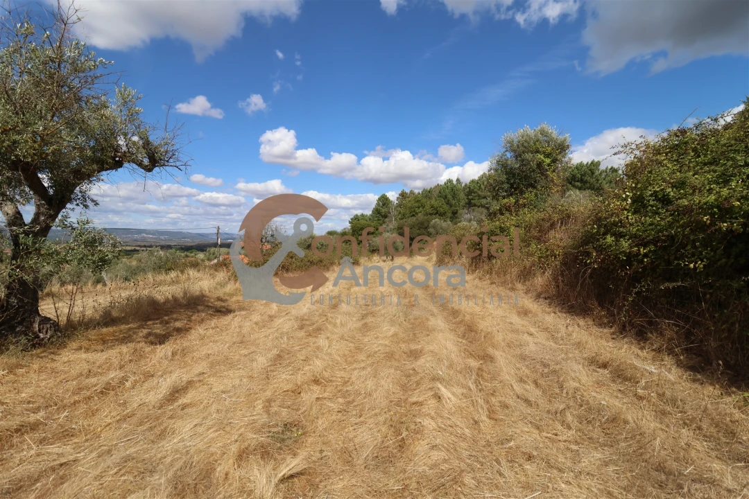 Quinta T0 para Venda em São Paio Foto 43