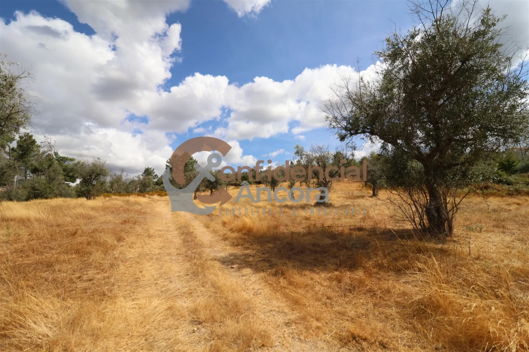 Quinta T0 para Venda em São Paio Foto 33