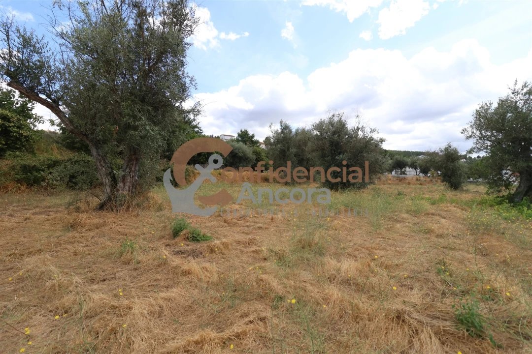 Quinta T0 para Venda em São Paio Foto 3