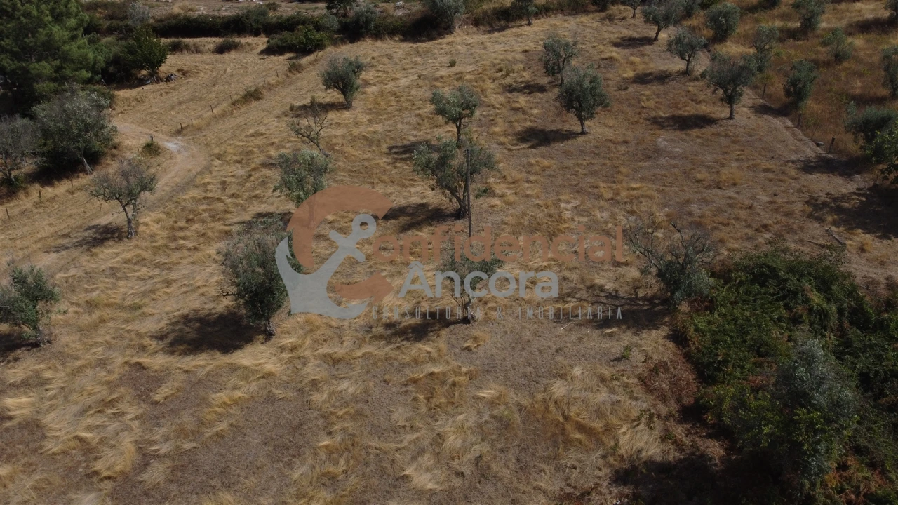 Quinta T0 para Venda em São Paio Foto 59