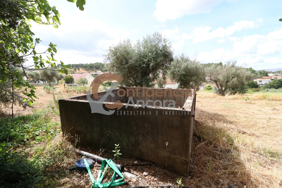 Quinta T0 para Venda em São Paio Foto 10