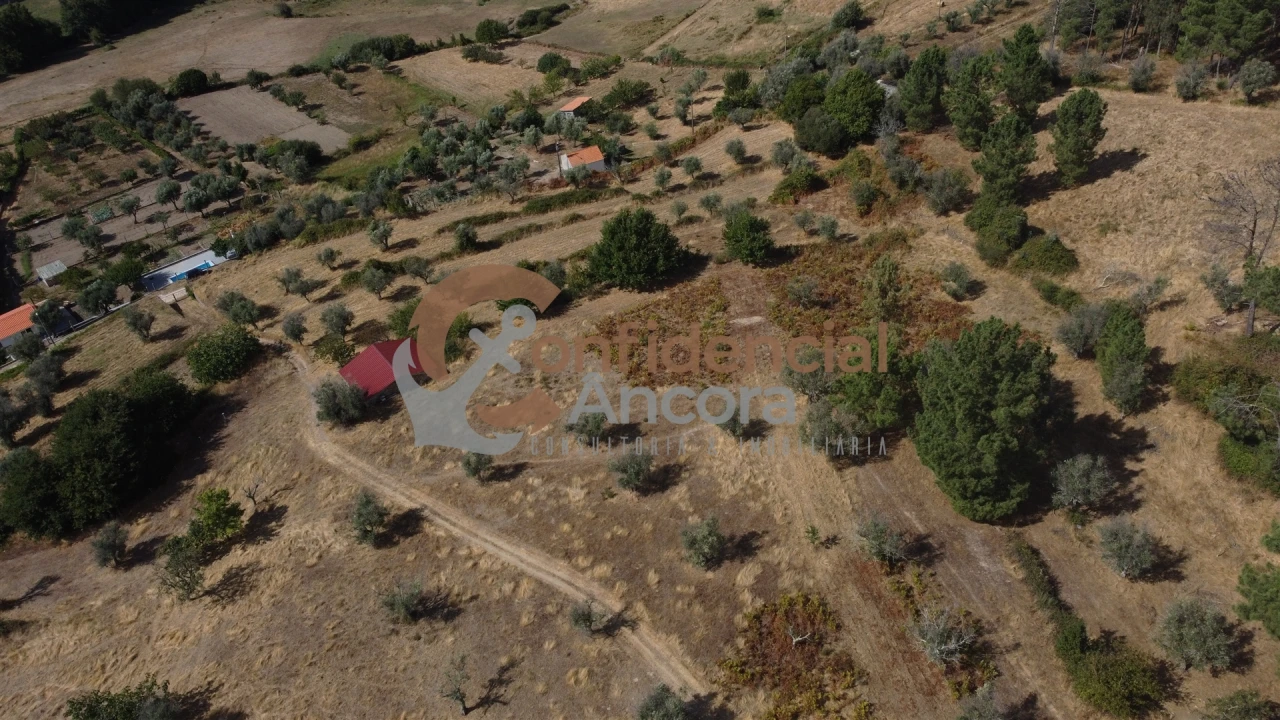 Quinta T0 para Venda em São Paio Foto 61
