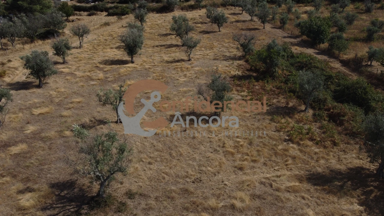 Quinta T0 para Venda em São Paio Foto 57