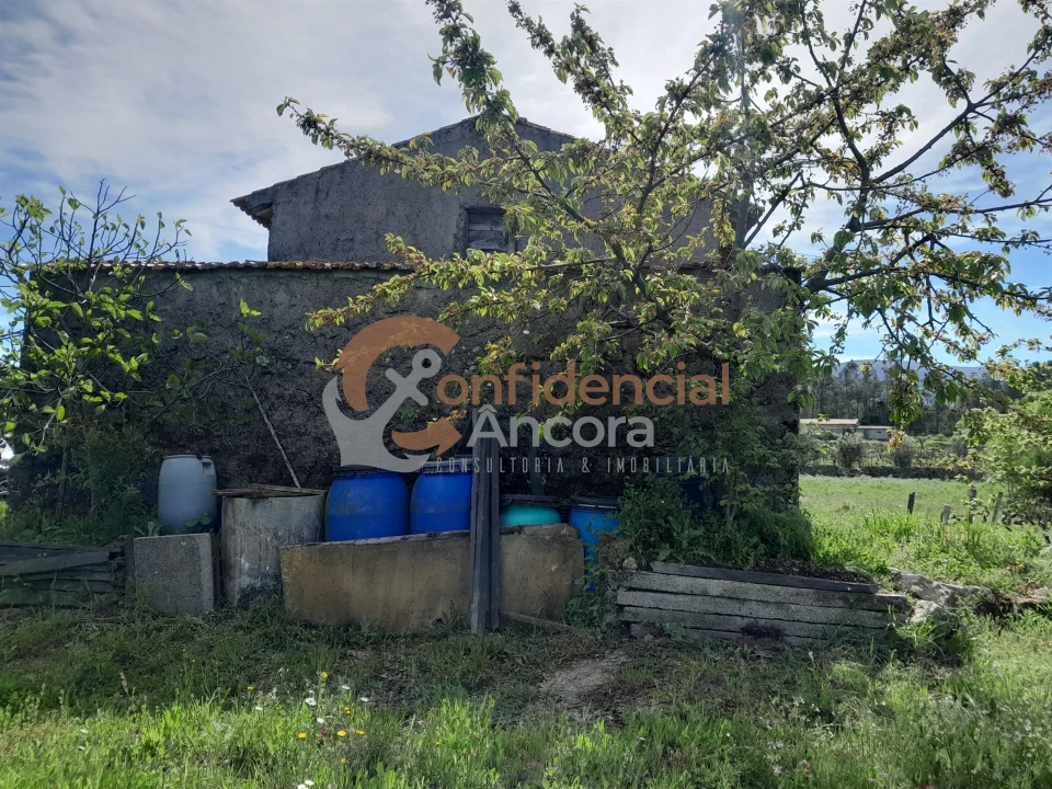 Quinta T0 para Venda em São Paio Foto 4