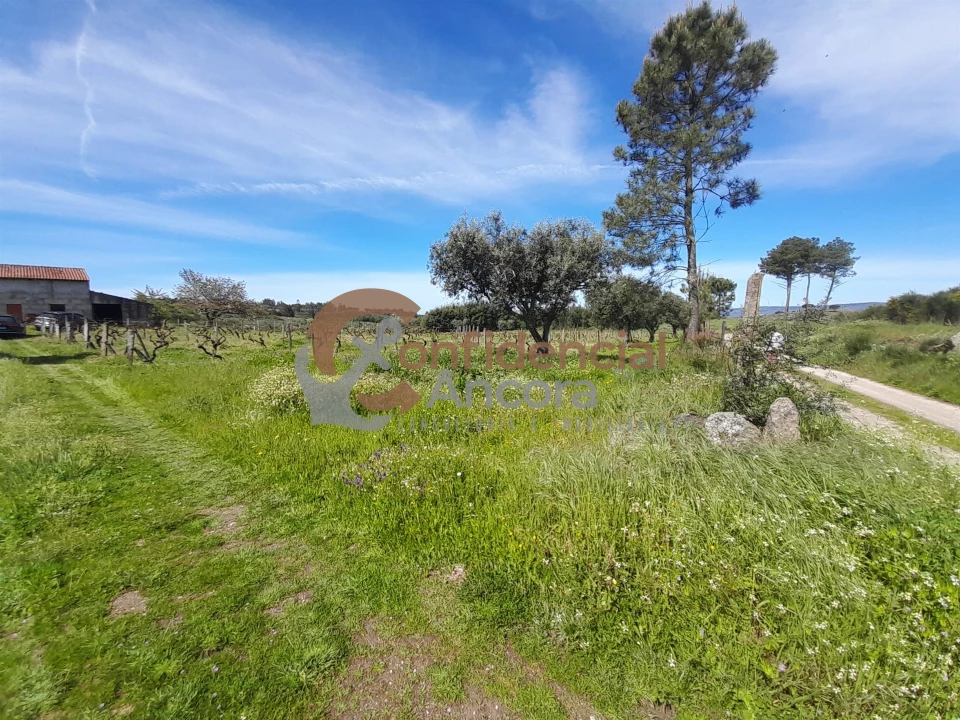 Quinta T0 para Venda em São Paio Foto 11