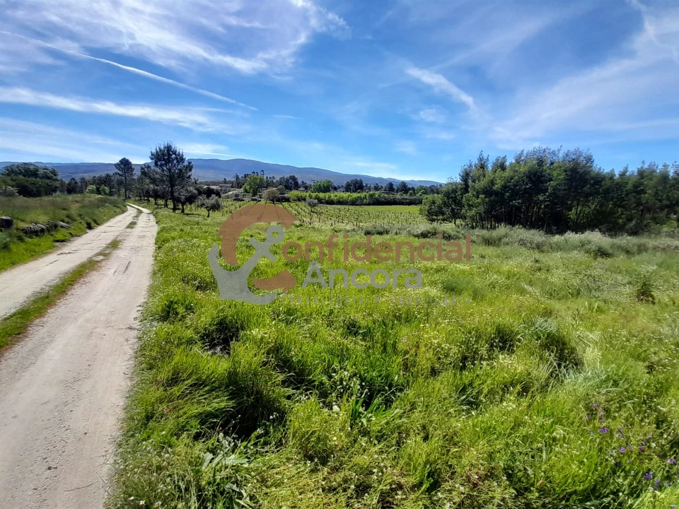 Quinta T0 para Venda em São Paio Foto 6