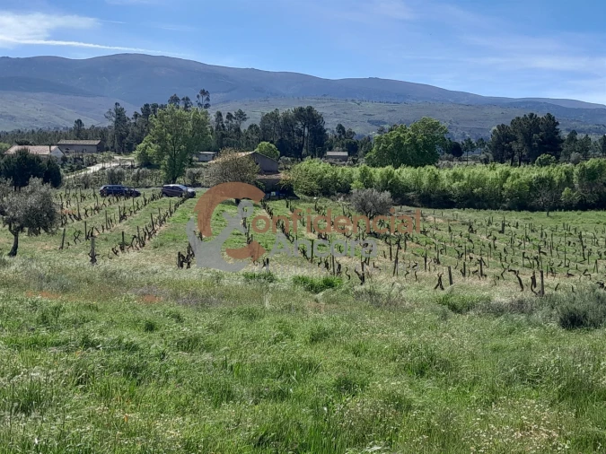 Quinta T0 para Venda em São Paio Foto 8
