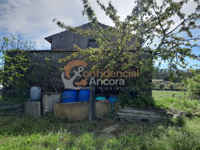 Quinta T0 para Venda em São Paio Foto 4