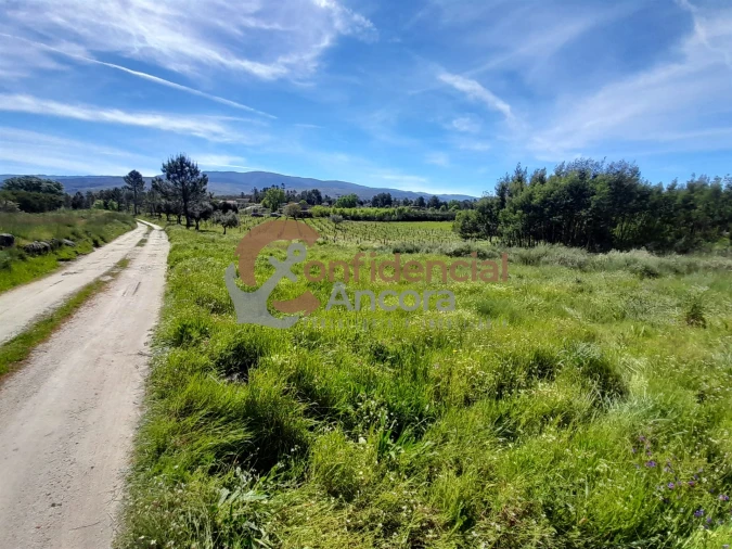 Quinta T0 para Venda em São Paio Foto 6