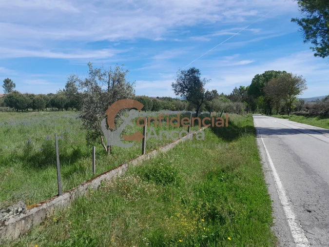 Quinta T0 para Venda em São Paio Foto 7