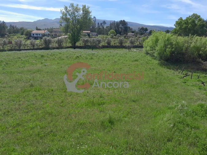 Quinta T0 para Venda em São Paio Foto 3