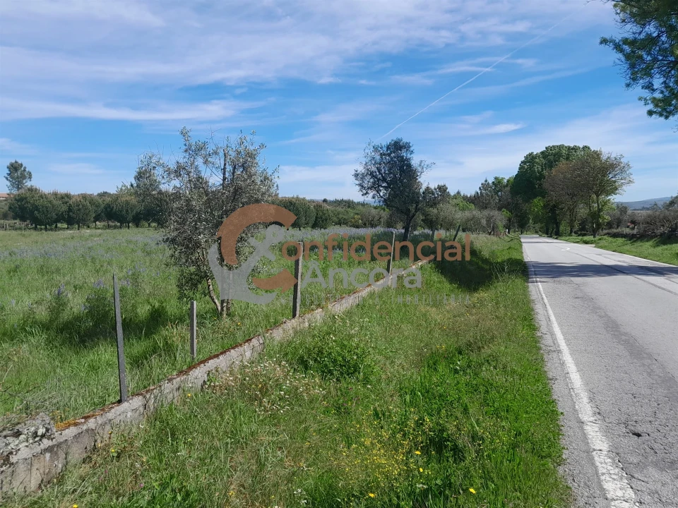 Quinta T0 para Venda em São Paio Foto 7