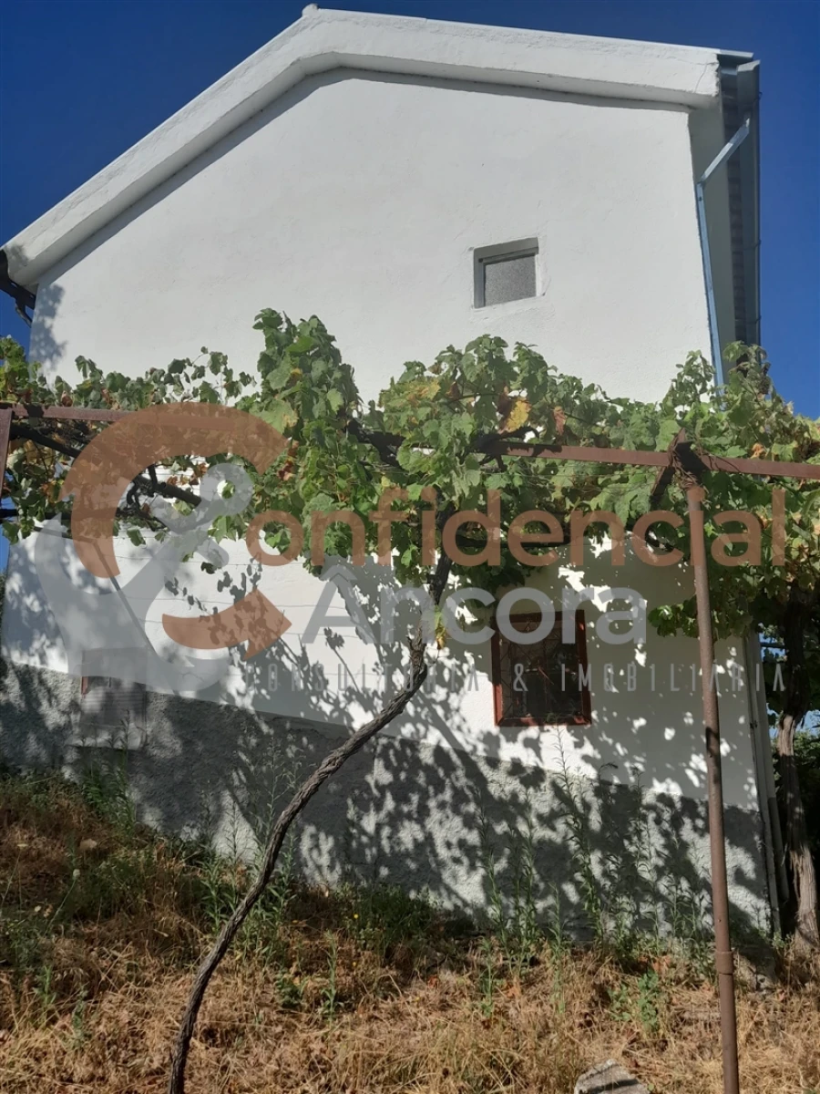 Quinta T0 para Venda em São Paio Foto 6