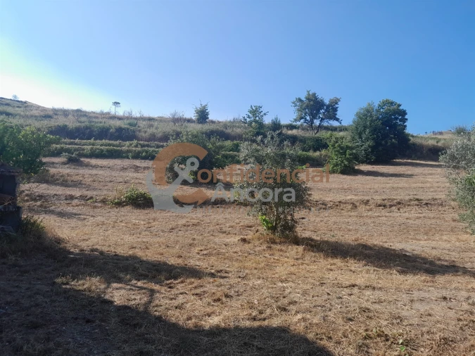 Quinta T0 para Venda em São Paio Foto 4