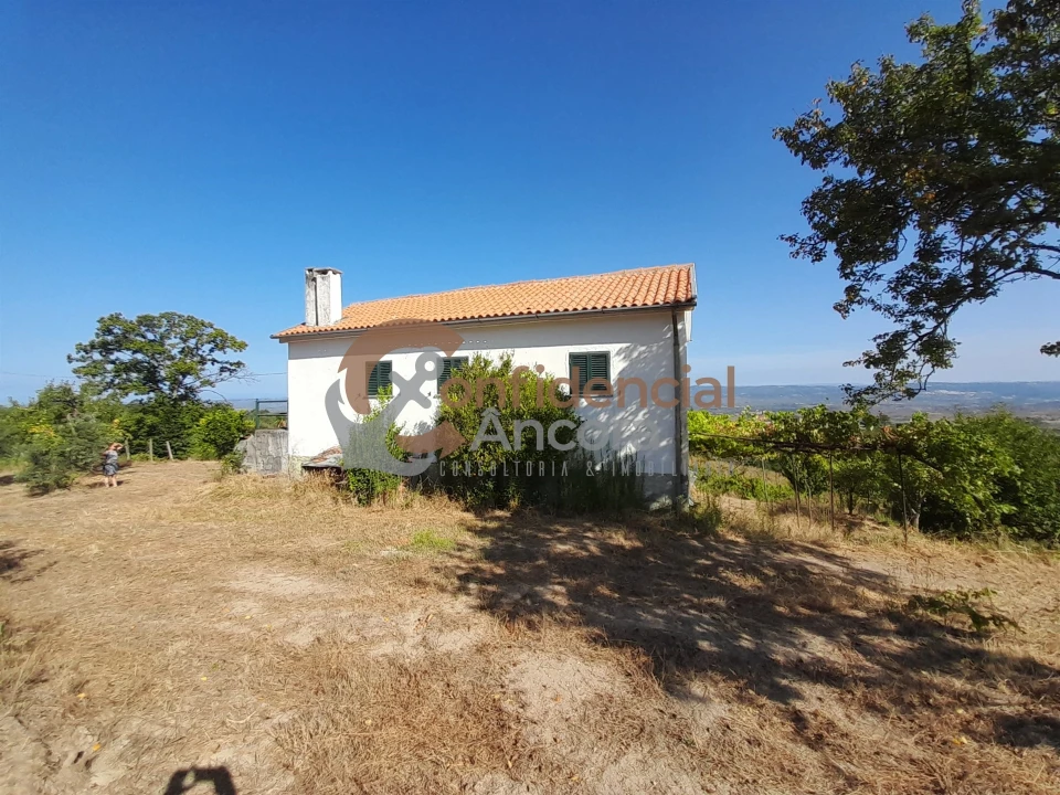 Quinta T0 para Venda em São Paio Foto 1
