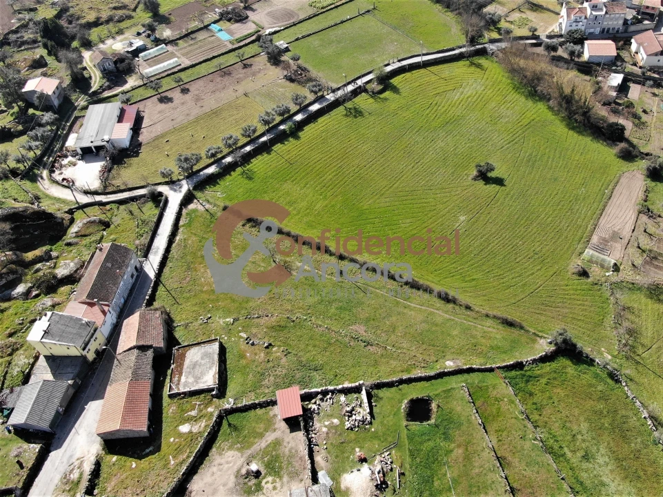 Quinta T0 para Venda em Arcozelo Foto 4