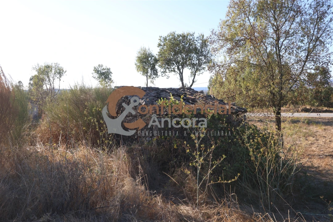 Terreno para Venda em Nespereira Foto 29