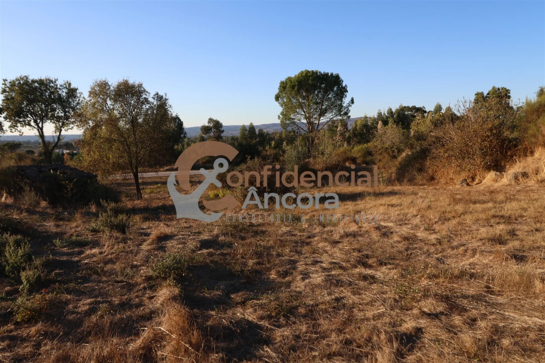 Terreno para Venda em Nespereira Foto 10