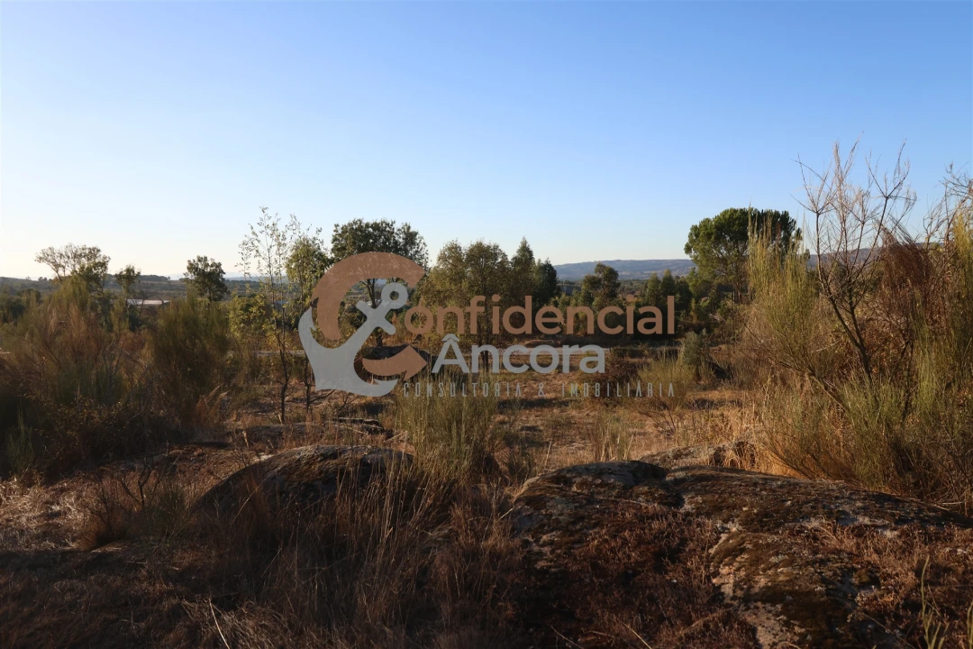 Terreno para Venda em Nespereira Foto 11