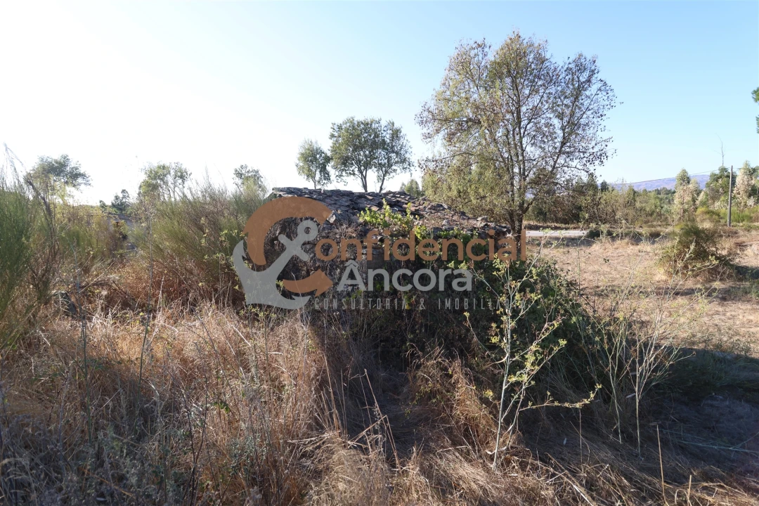 Terreno para Venda em Nespereira Foto 19