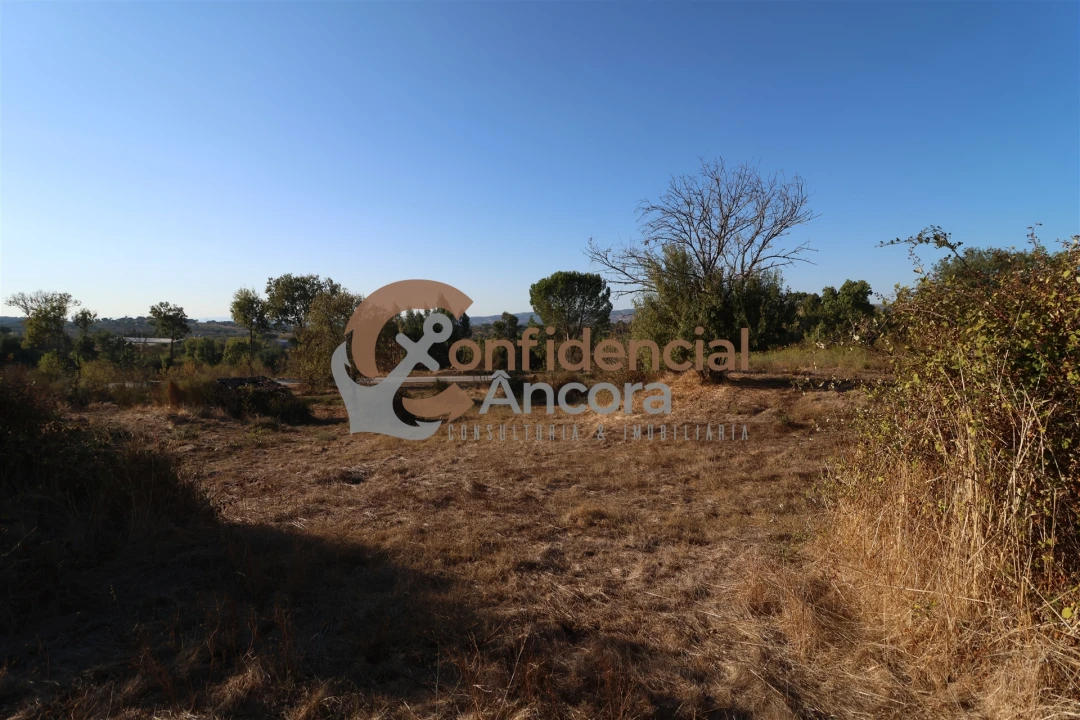 Terreno para Venda em Nespereira Foto 27