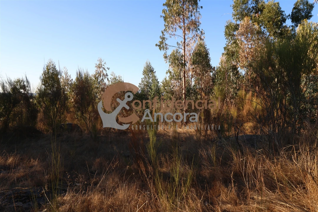 Terreno para Venda em Nespereira Foto 4