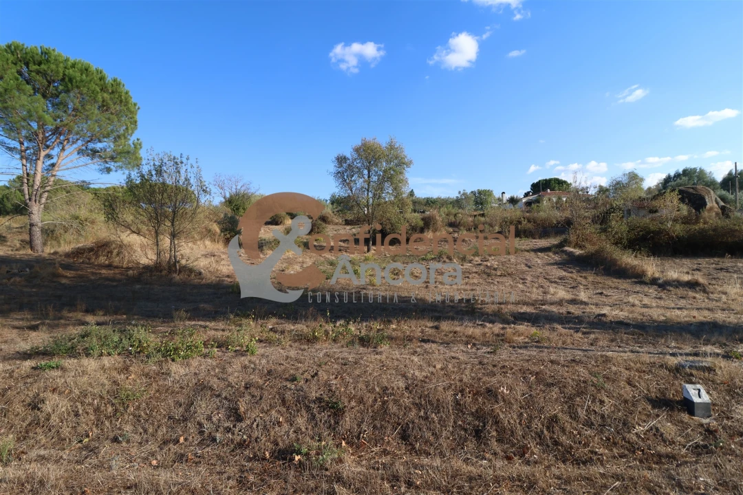 Terreno para Venda em Nespereira Foto 32