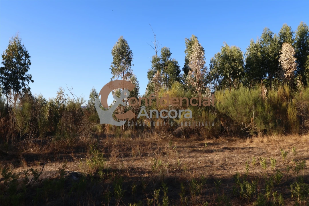 Terreno para Venda em Nespereira Foto 3