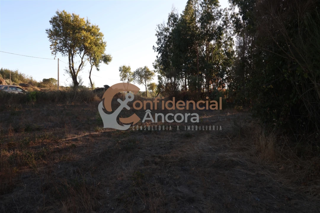 Terreno para Venda em Nespereira Foto 6