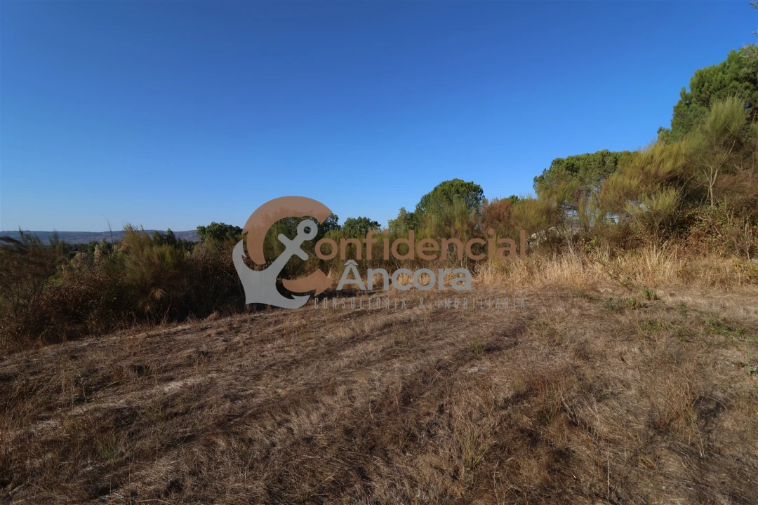 Terreno para Venda em Nespereira Foto 26