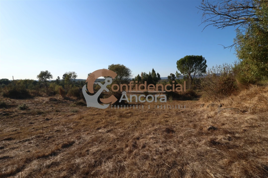 Terreno para Venda em Nespereira Foto 24