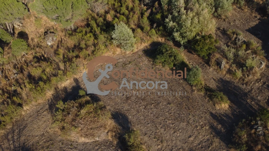 Terreno para Venda em Nespereira Foto 36