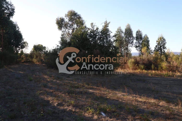 Terreno para Venda em Nespereira Foto 2