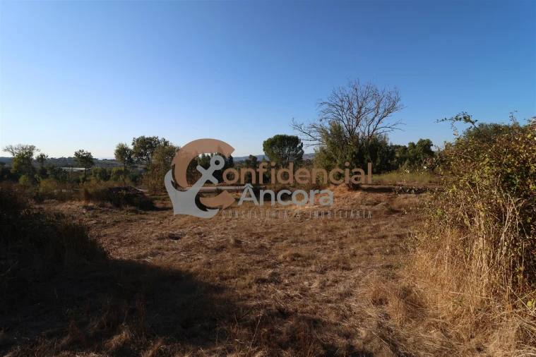 Terreno para Venda em Nespereira Foto 27