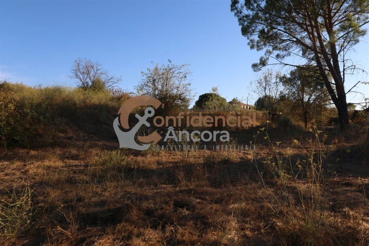 Terreno para Venda em Nespereira Foto 8