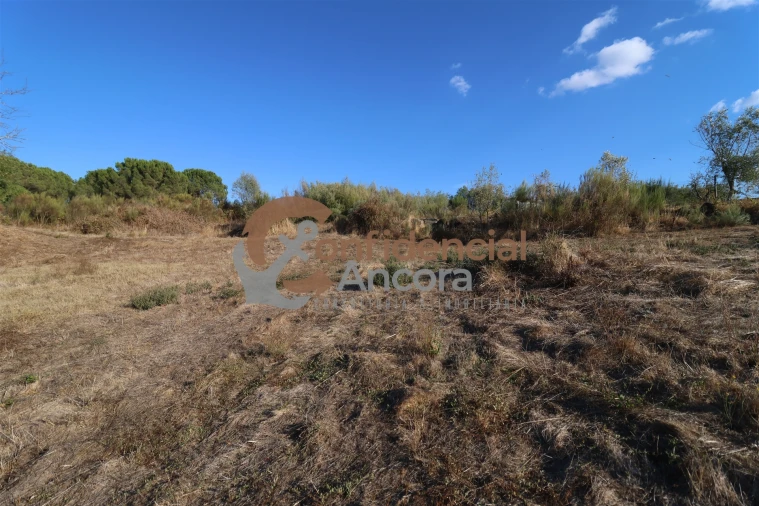 Terreno para Venda em Nespereira Foto 20