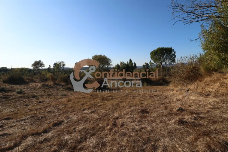 Terreno para Venda em Nespereira Foto 24