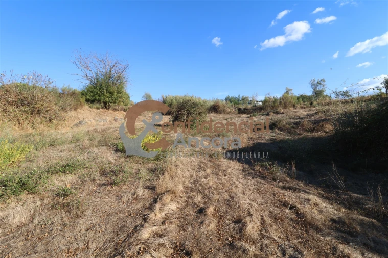 Terreno para Venda em Nespereira Foto 22