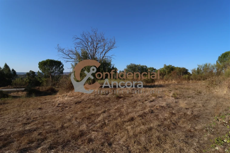 Terreno para Venda em Nespereira Foto 28