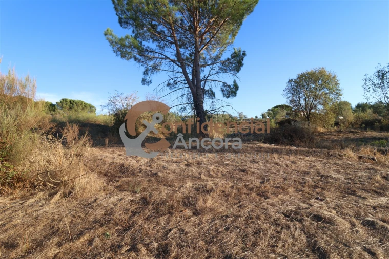 Terreno para Venda em Nespereira Foto 14