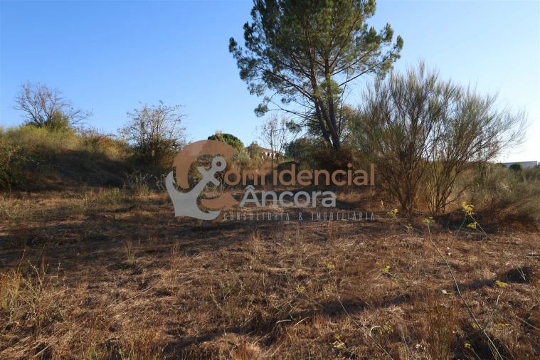 Terreno para Venda em Nespereira Foto 7