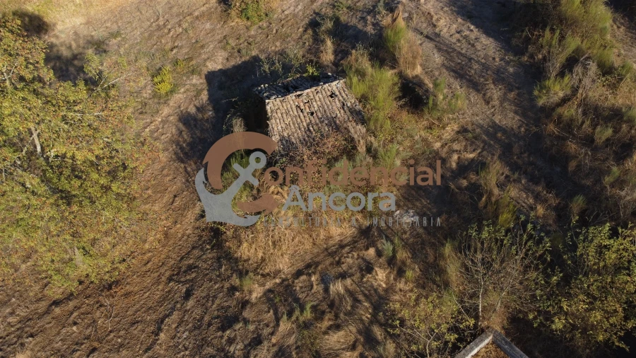 Terreno para Venda em Nespereira Foto 43