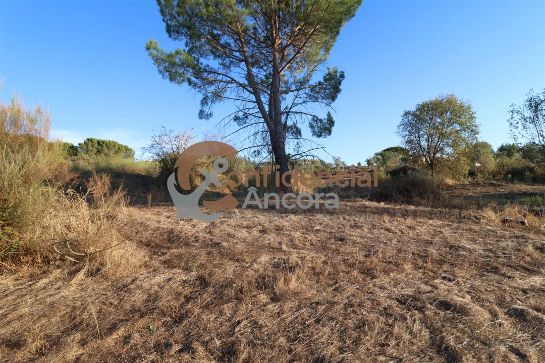 Terreno para Venda em Nespereira Foto 14