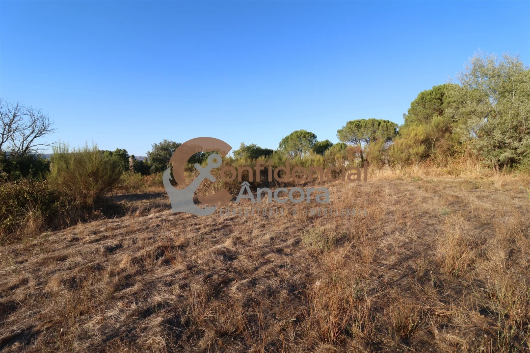 Terreno para Venda em Nespereira Foto 13