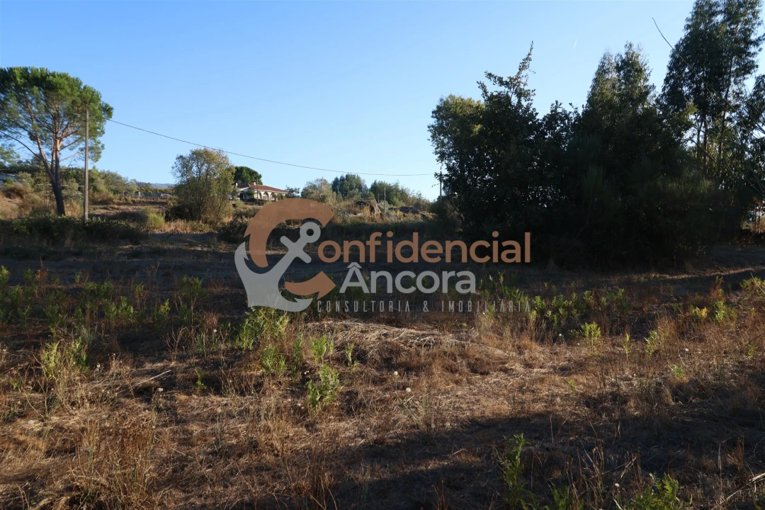 Terreno para Venda em Nespereira Foto 5