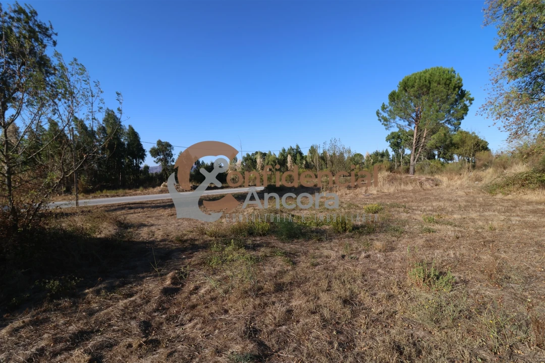 Terreno para Venda em Nespereira Foto 17