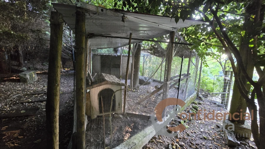 Moradia T4 para Venda em Gouveia (São Pedro e São Julião) Foto 81