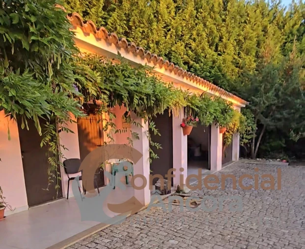 Moradia T4 para Venda em Gouveia (São Pedro e São Julião) Foto 101